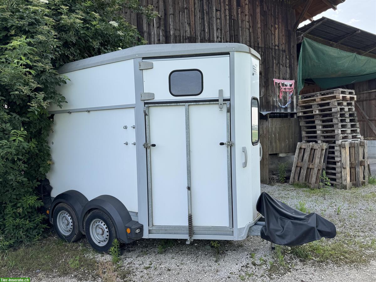 Occasion Ifor Williams HB506 Pferdeanhänger