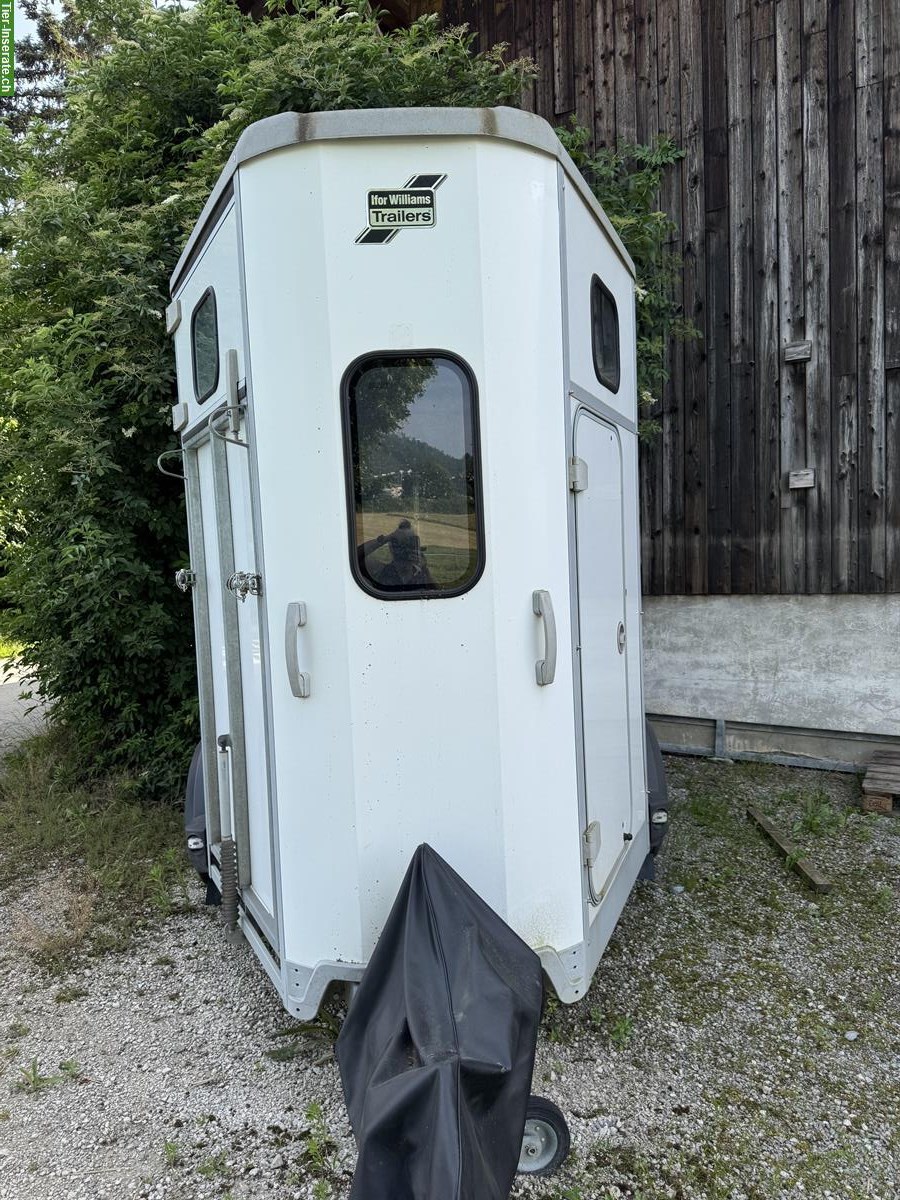 Bild 2: Occasion Ifor Williams HB506 Pferdeanhänger