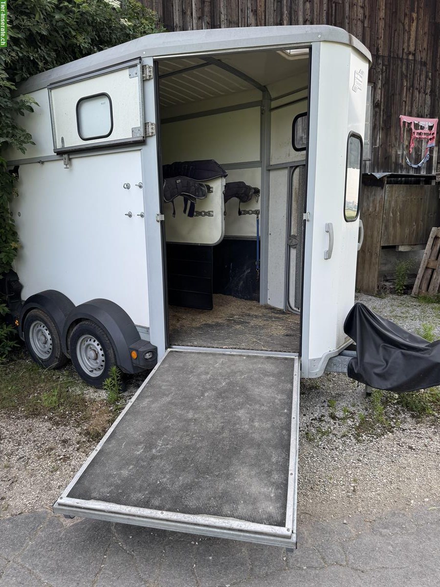Bild 5: Occasion Ifor Williams HB506 Pferdeanhänger