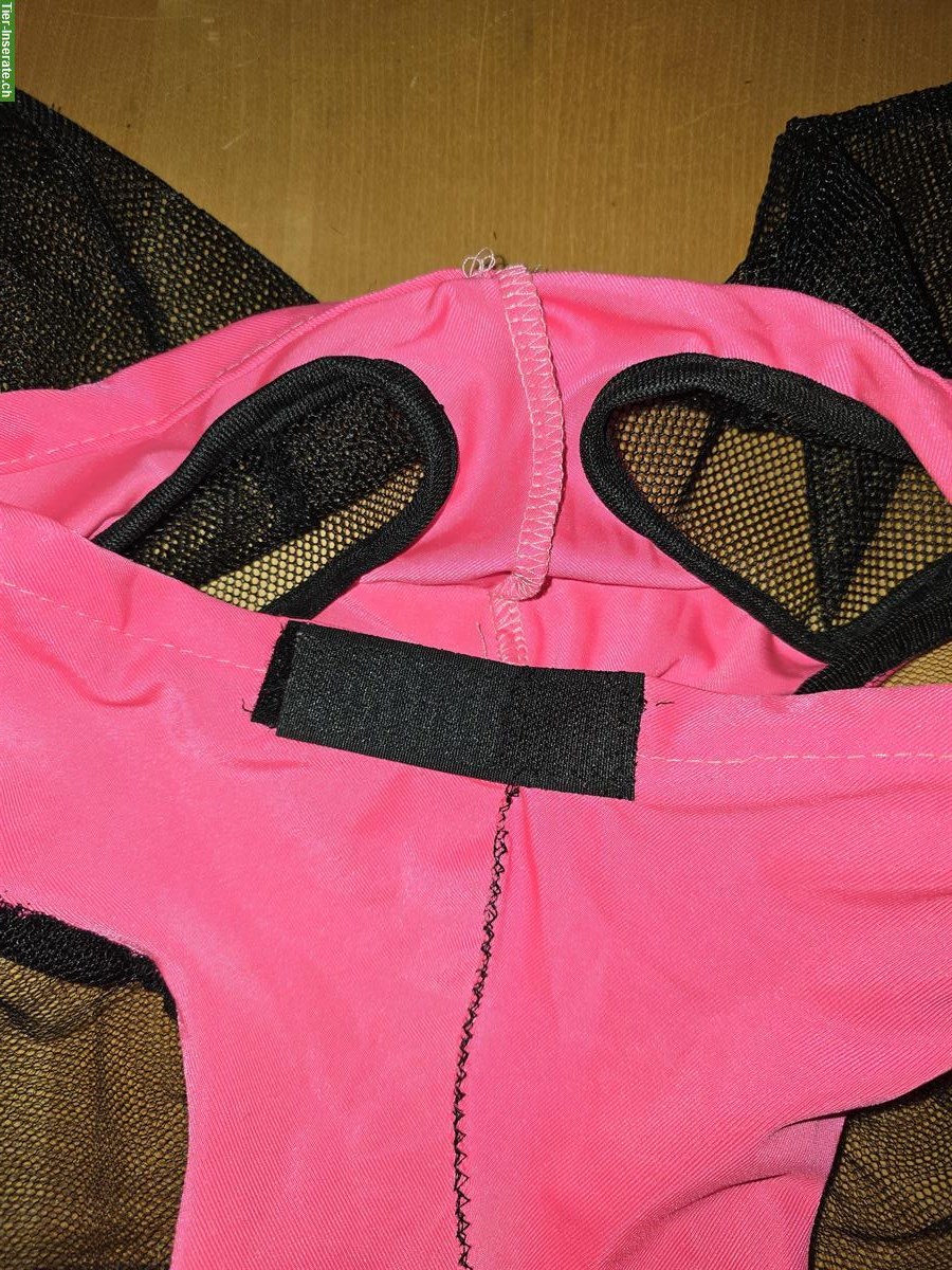 Bild 7: Neue Fliegenmasken auch für Shettys
