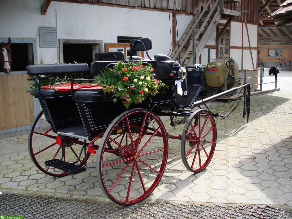 Stöckli Wagonette - ein echter Hingucker!
