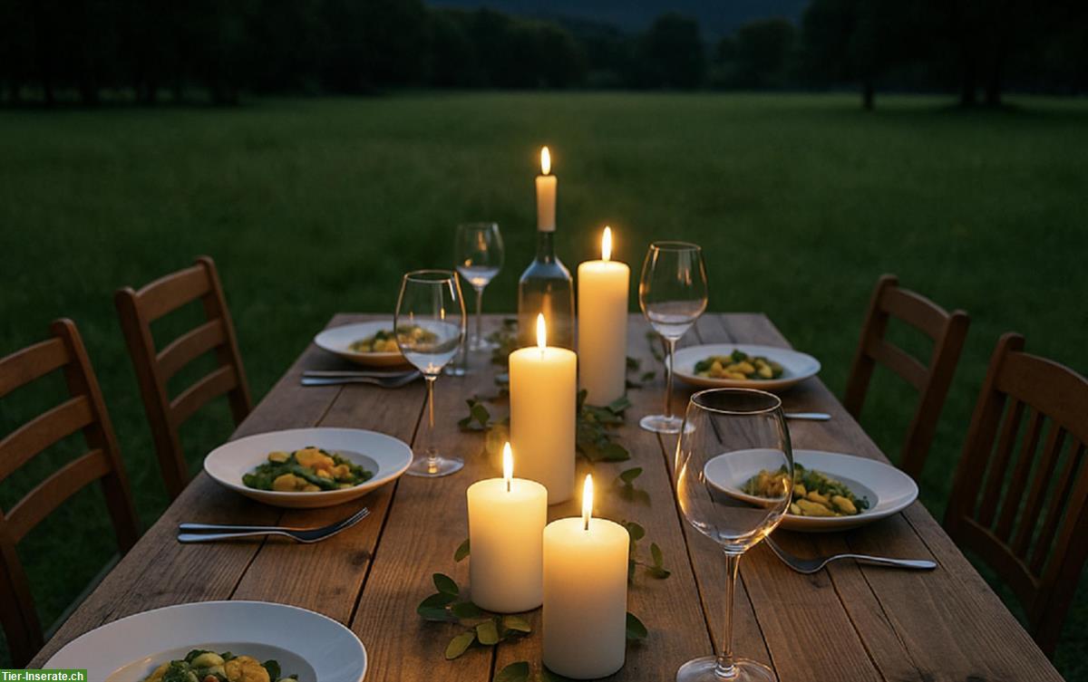 Vegan Dining unter freiem Himmel im schönen Fricktal