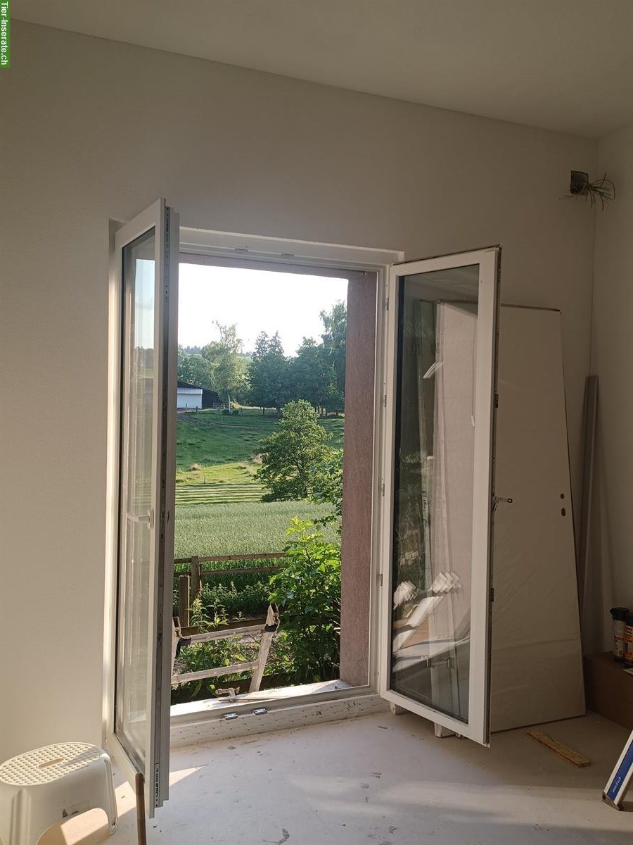 Bild 6: Neue 3.5 Zimmer Wohnung mit Rössliplatz zu vermieten