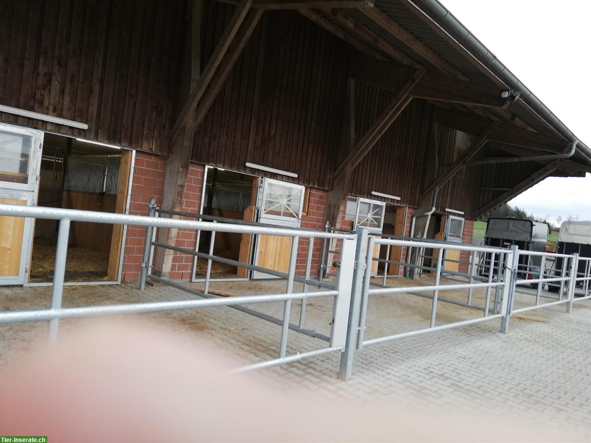 Pferdestall mit Pferdeboxen zu vermieten ab August