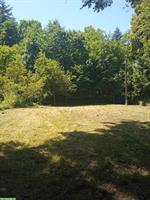 Hundetrainingsplatz mieten für Hundeschule/ Hundehort