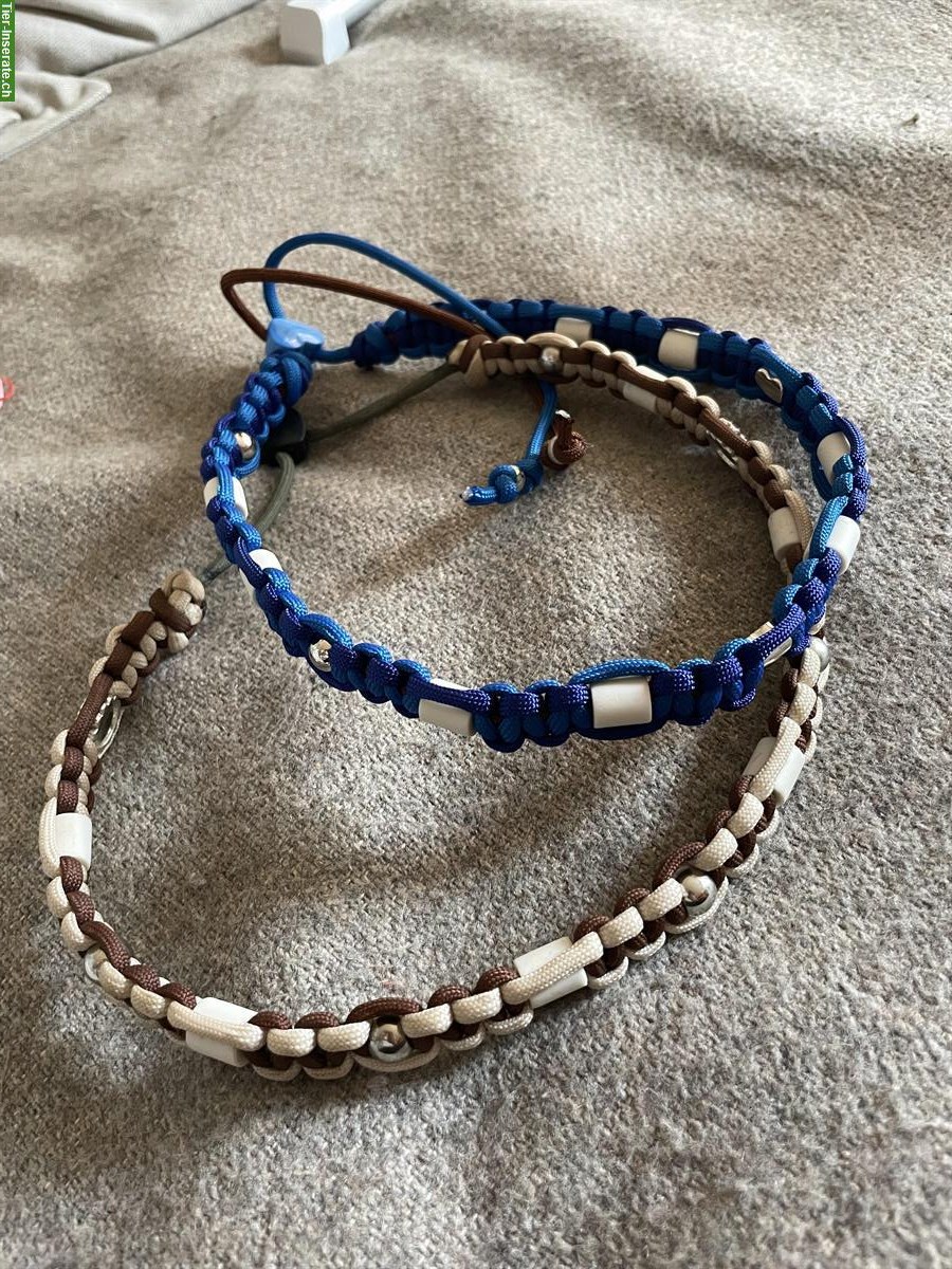Bild 4: EM-Keramikschmuck Halsbänder zur Zeckenabwehr