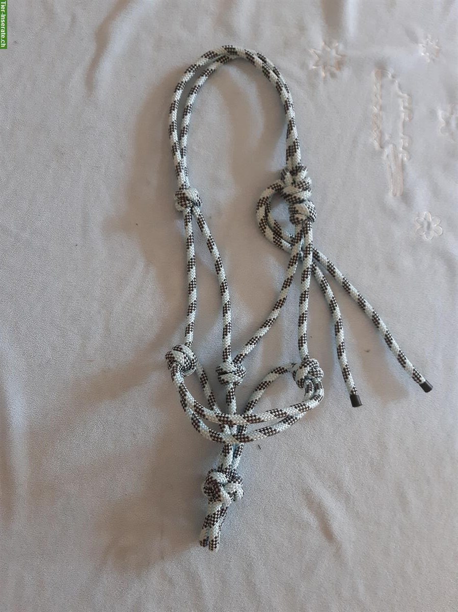 NEU: Knotenhalfter mit schönem Diamantknoten