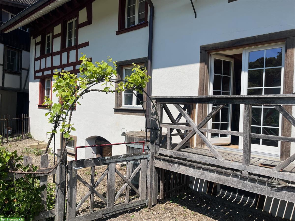 Kleinbauernhaus ideal für die Haltung von Kleintieren oder 2-3 Ponys