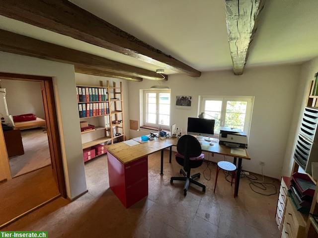 Bild 8: Kleinbauernhaus ideal für die Haltung von Kleintieren oder 2-3 Ponys