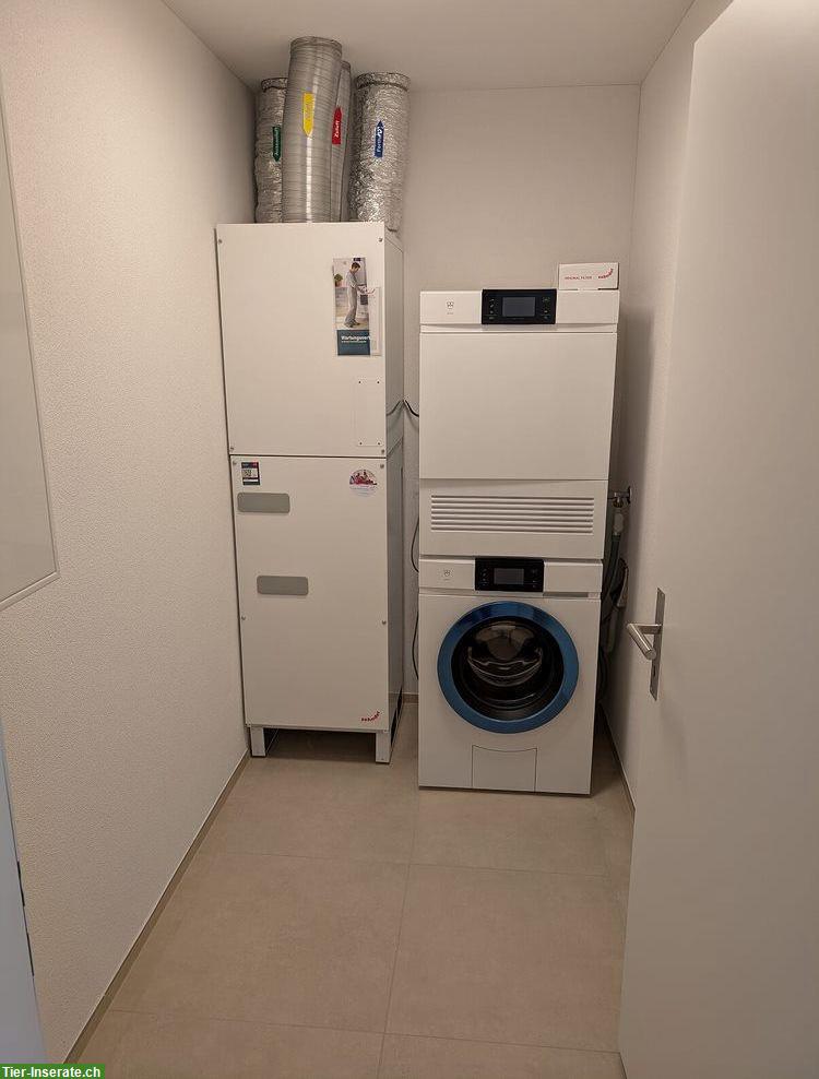 Bild 5: Hitzkirch LU: Für 4.5 Zimmer Wohnung Nachmieter gesucht