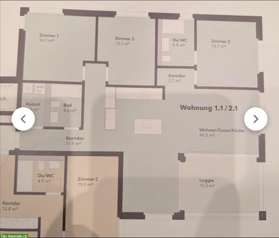 Bild 9: Hitzkirch LU: Für 4.5 Zimmer Wohnung Nachmieter gesucht