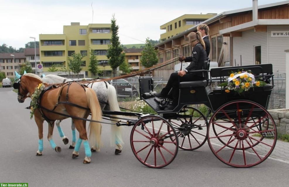 Hochwertige, dunkelblaue SW-Wagonette, Ein-/Zweispänner