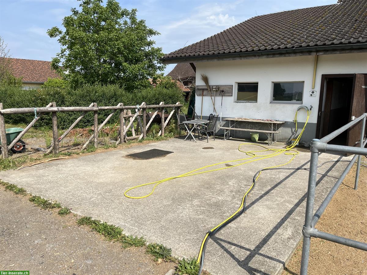Bild 3: 3er oder 4er Stalltrakt zur Selbst- Teilversorgung im Thurgau