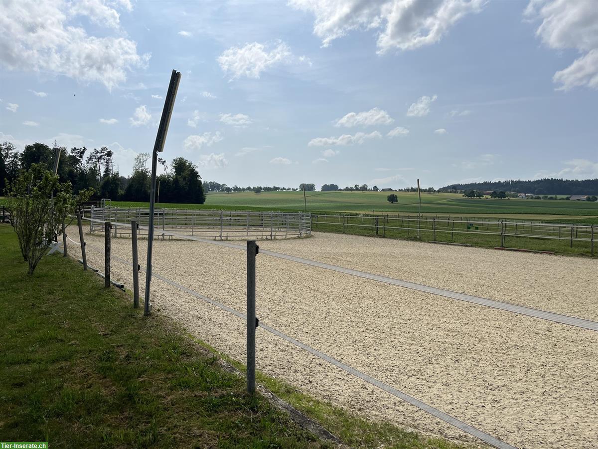 Bild 5: 3er oder 4er Stalltrakt zur Selbst- Teilversorgung im Thurgau