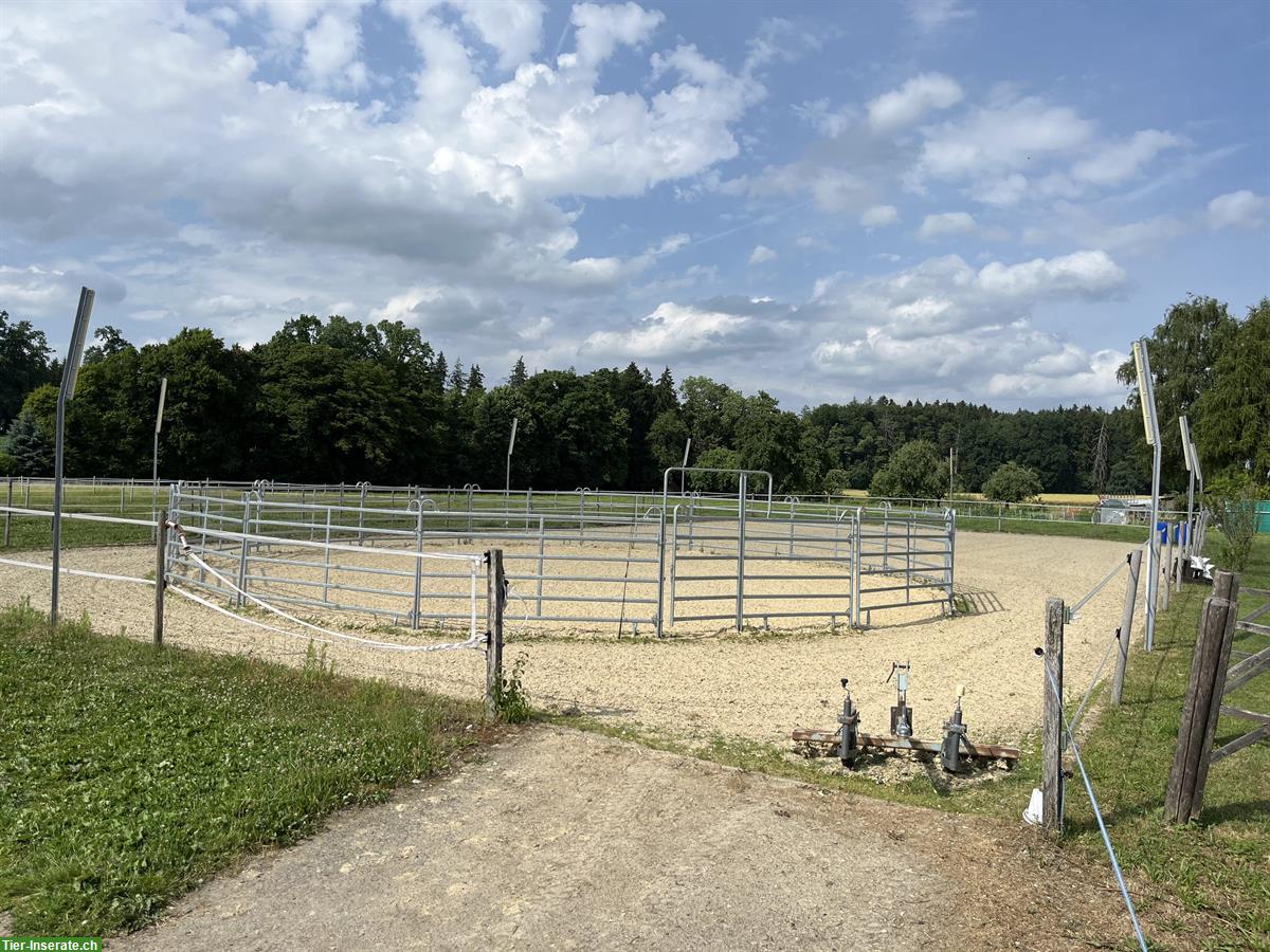 Bild 7: 3er oder 4er Stalltrakt zur Selbst- Teilversorgung im Thurgau