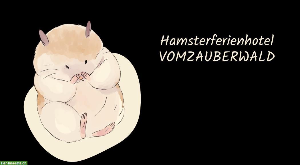 Hamsterferienhotel vom Zauberwald