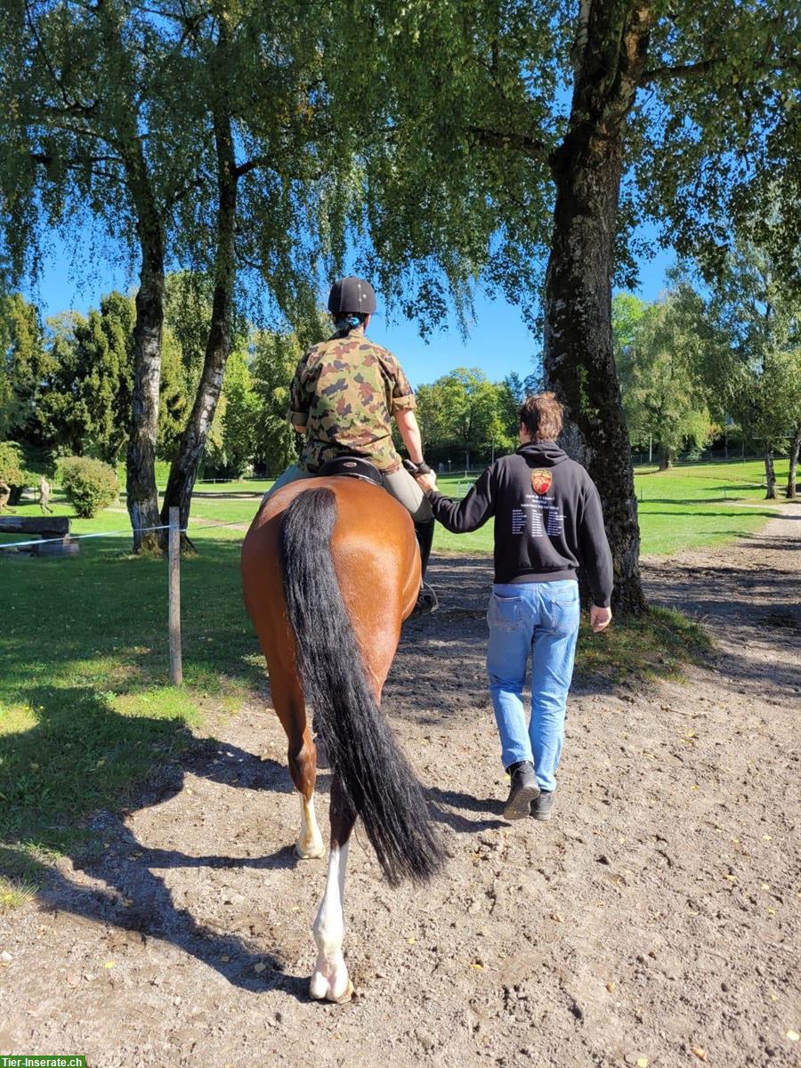 Junges, tierfreundliches Paar auf Wohnungssuche