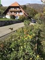 Bauerhaus / Bauernhof mit 3ha Land zu verkaufen