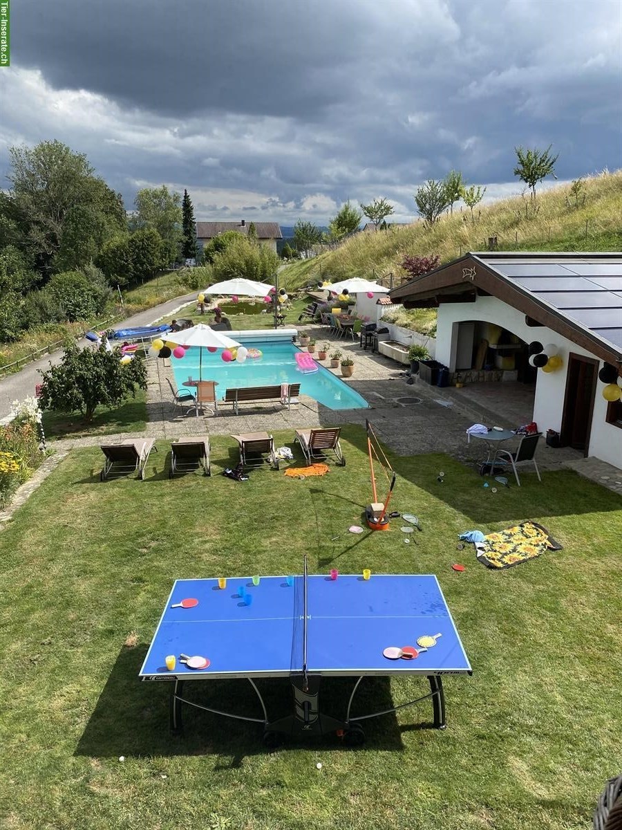 Bild 2: Bauerhaus / Bauernhof mit 3ha Land zu verkaufen
