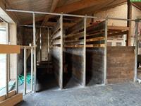 Offenstallplatz für Wallache und Stuten in Rifferswil ZH