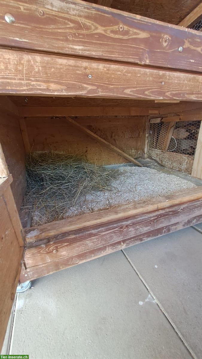 Bild 4: Selbstgebauter Kleintierstall zu verkaufen