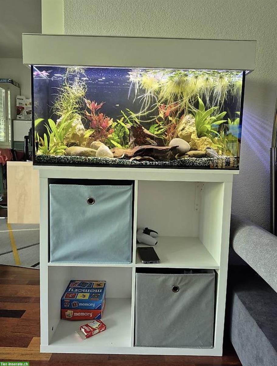 LED EHEIM Aquarium 112 Liter, 80cm breit