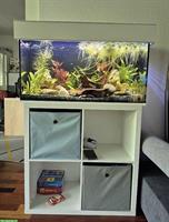 LED EHEIM Aquarium 112 Liter, 80cm breit