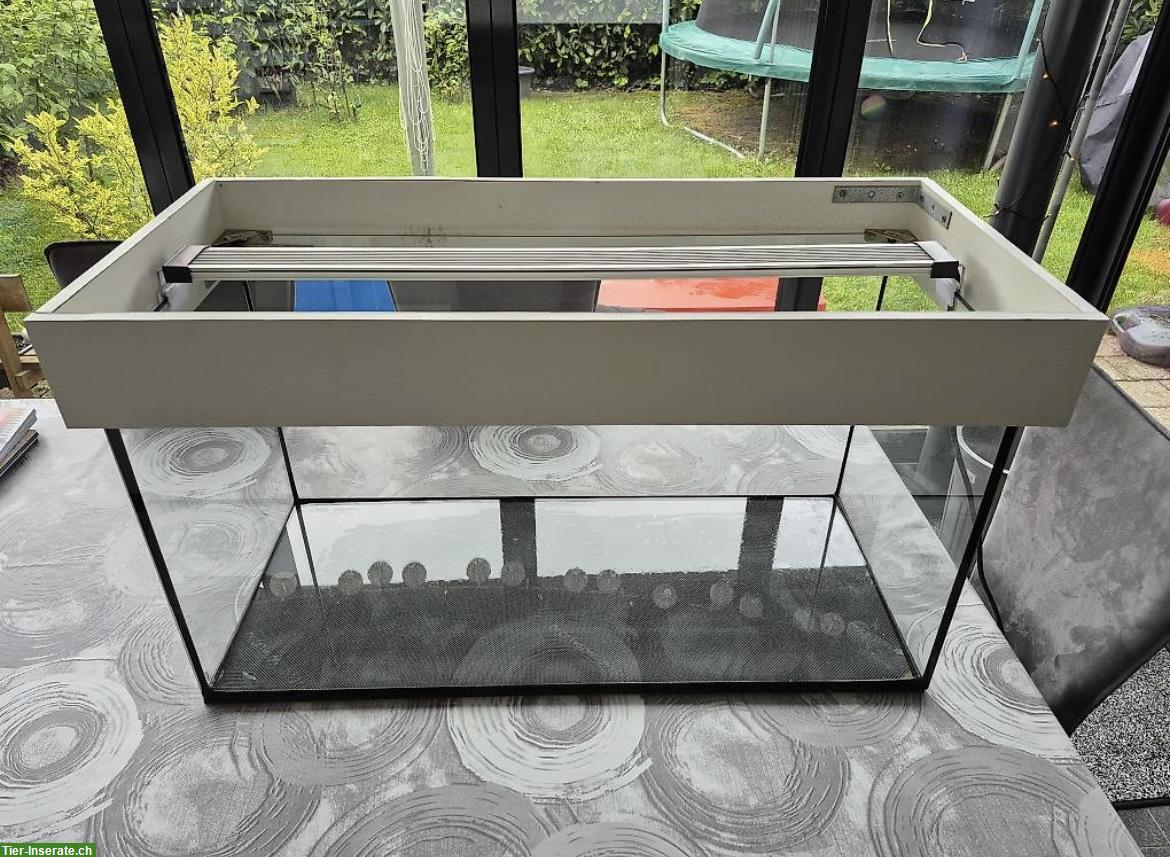 Bild 3: LED EHEIM Aquarium 112 Liter, 80cm breit
