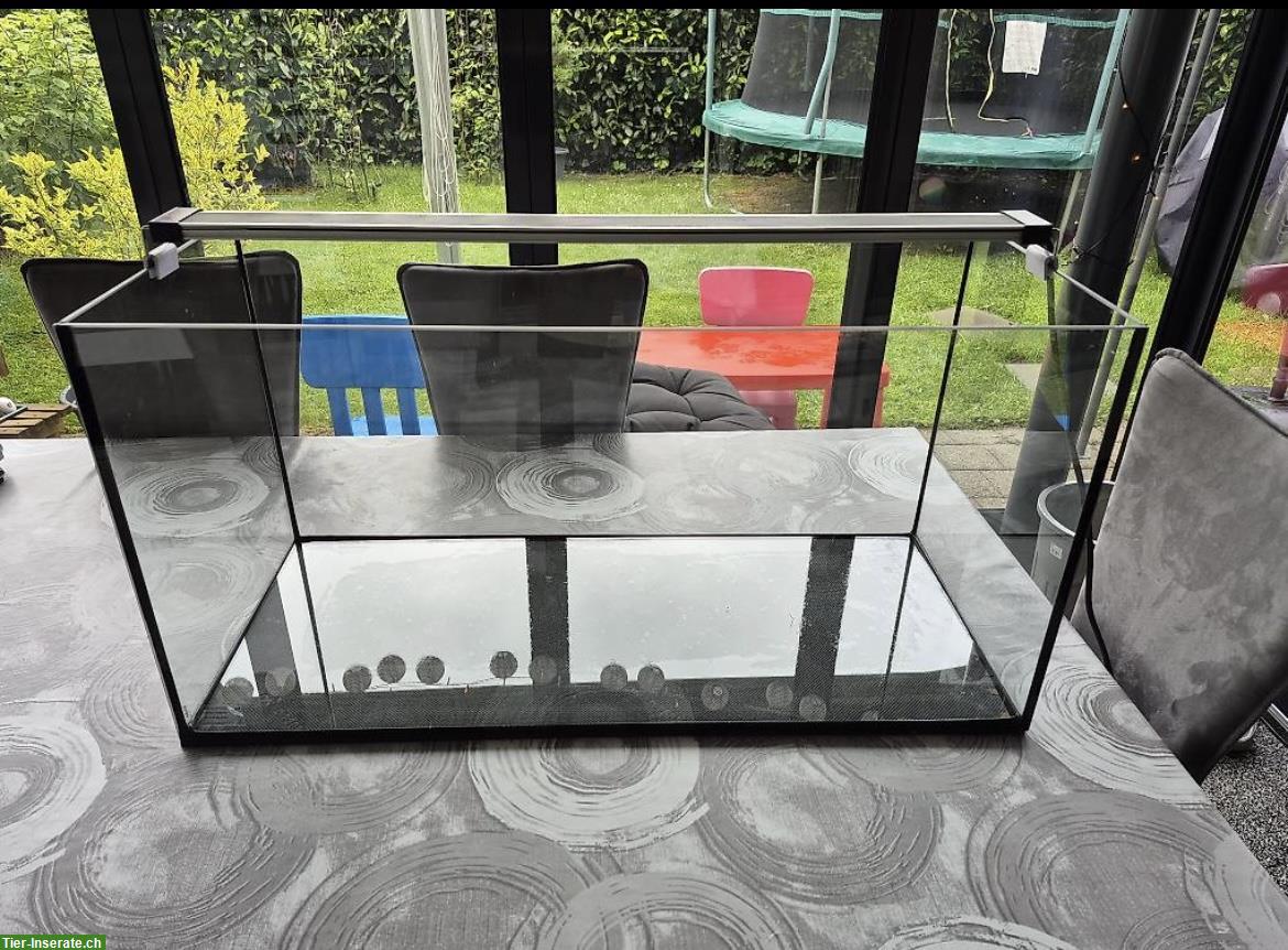 Bild 5: LED EHEIM Aquarium 112 Liter, 80cm breit