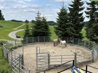 Offenstall für 2-4 (Island-)Pferde zwischen Kirchberg und Fischingen