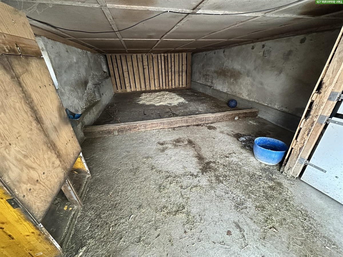 Bild 4: Offenstall für bis zu 4 (Island-)Pferde bei Kirchberg SG