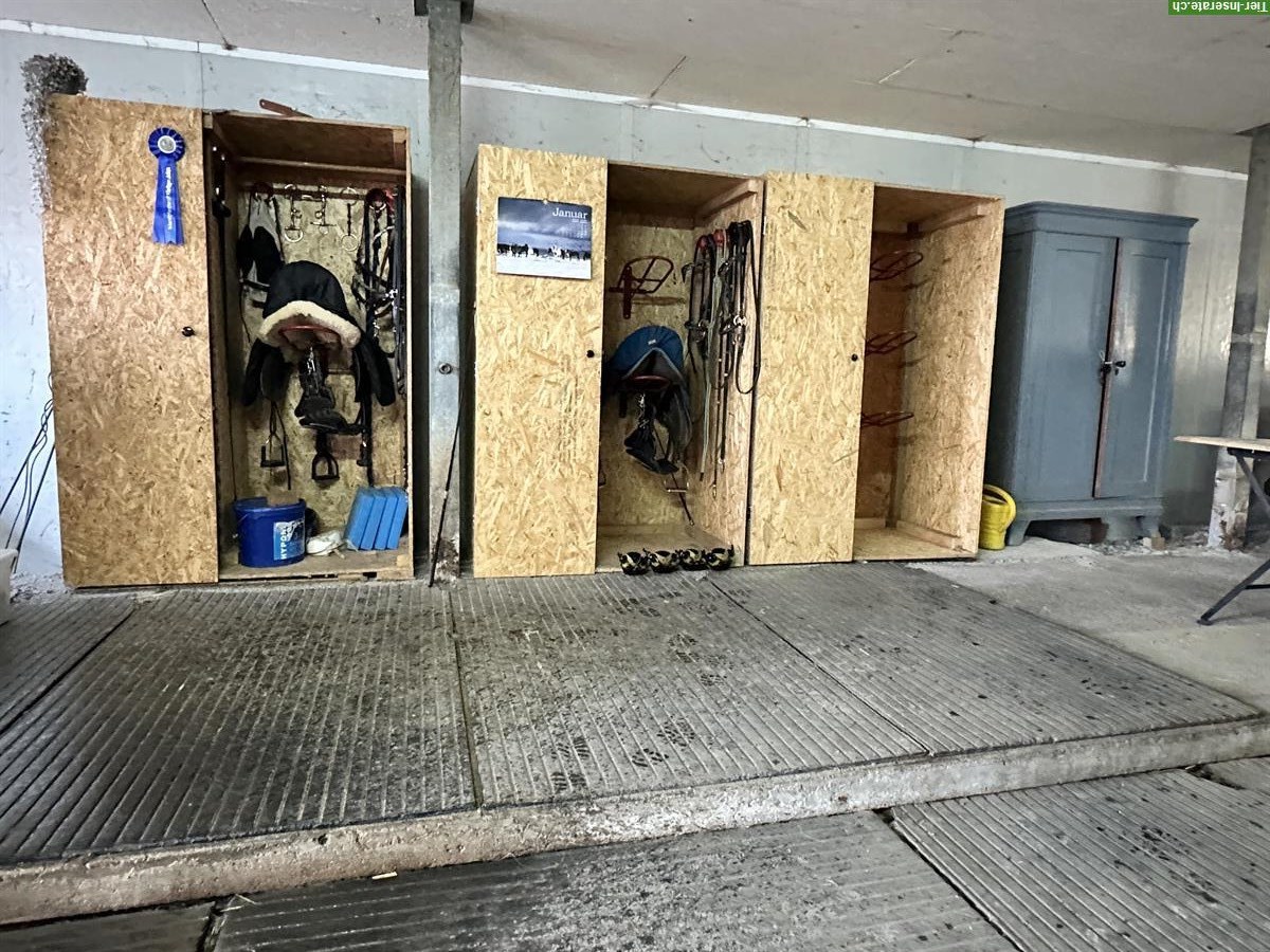 Bild 5: Offenstall für bis zu 4 (Island-)Pferde bei Kirchberg SG