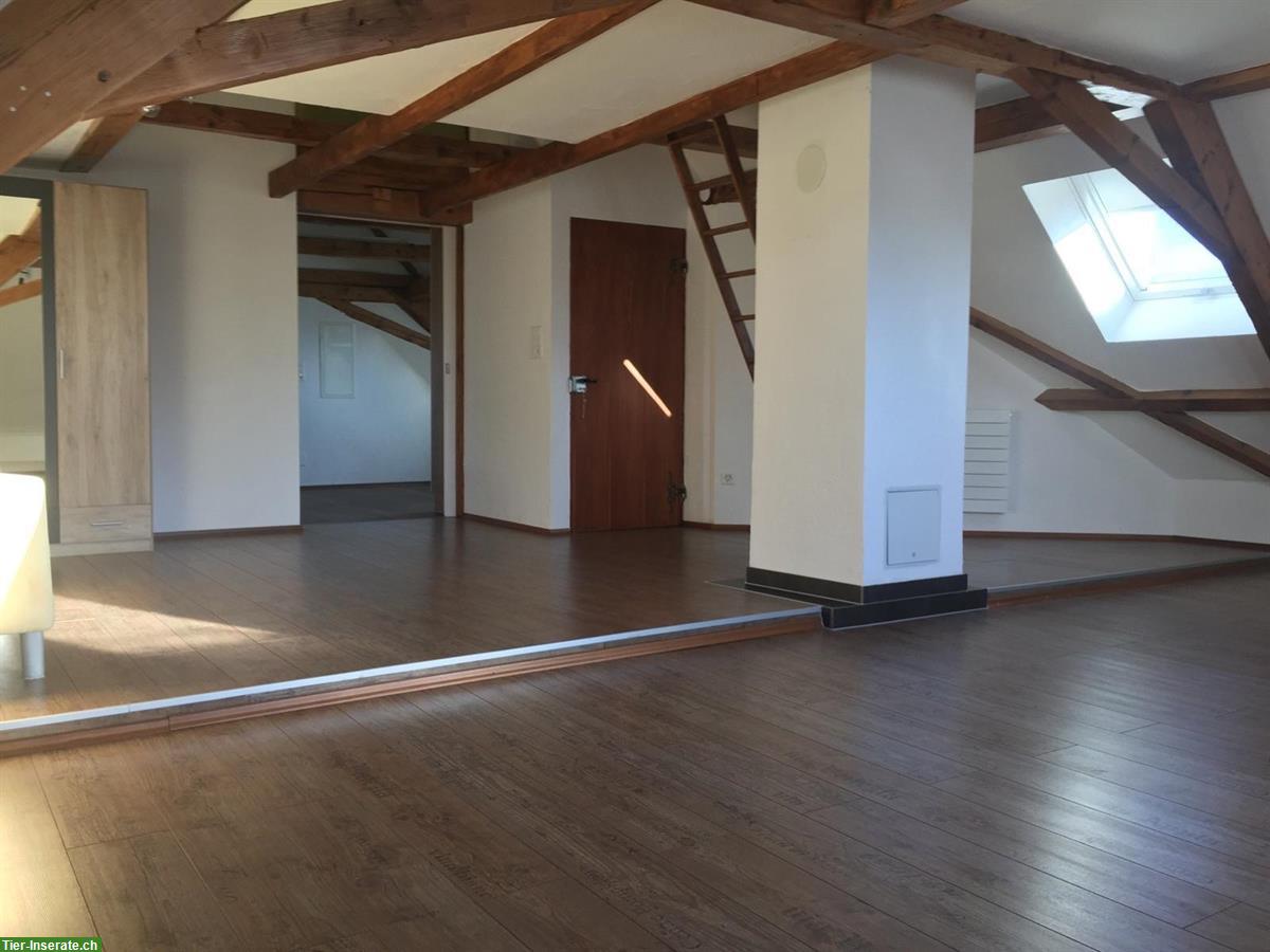 Bild 2: Grosse tierfreundliche 3.5 Zimmer Wohnung in altem Bauernhaus