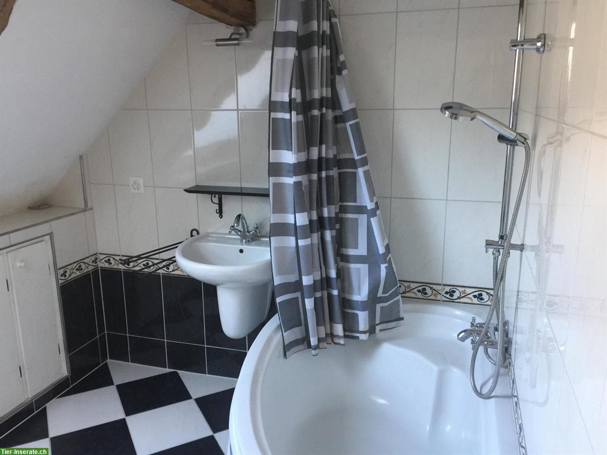 Bild 3: Grosse tierfreundliche 3.5 Zimmer Wohnung in altem Bauernhaus