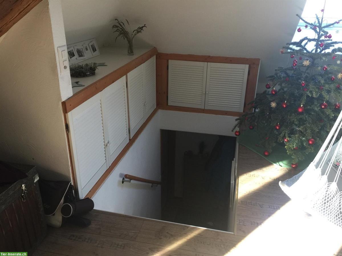 Bild 5: Grosse tierfreundliche 3.5 Zimmer Wohnung in altem Bauernhaus