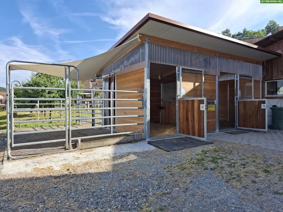 Pferdebox frei mit direktem Auslauf in Allergikerstall, Egliswil AG