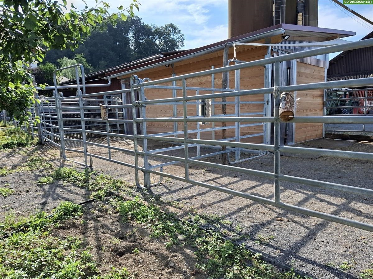 Bild 3: Pferdebox frei mit direktem Auslauf in Allergikerstall, Egliswil AG