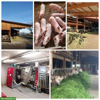 Job als landwirtschaftlicher Mitarbeiter, 60-70% Pensum