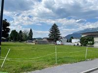 Freistehendes EFH mit Stall, Grundstück 3700m2
