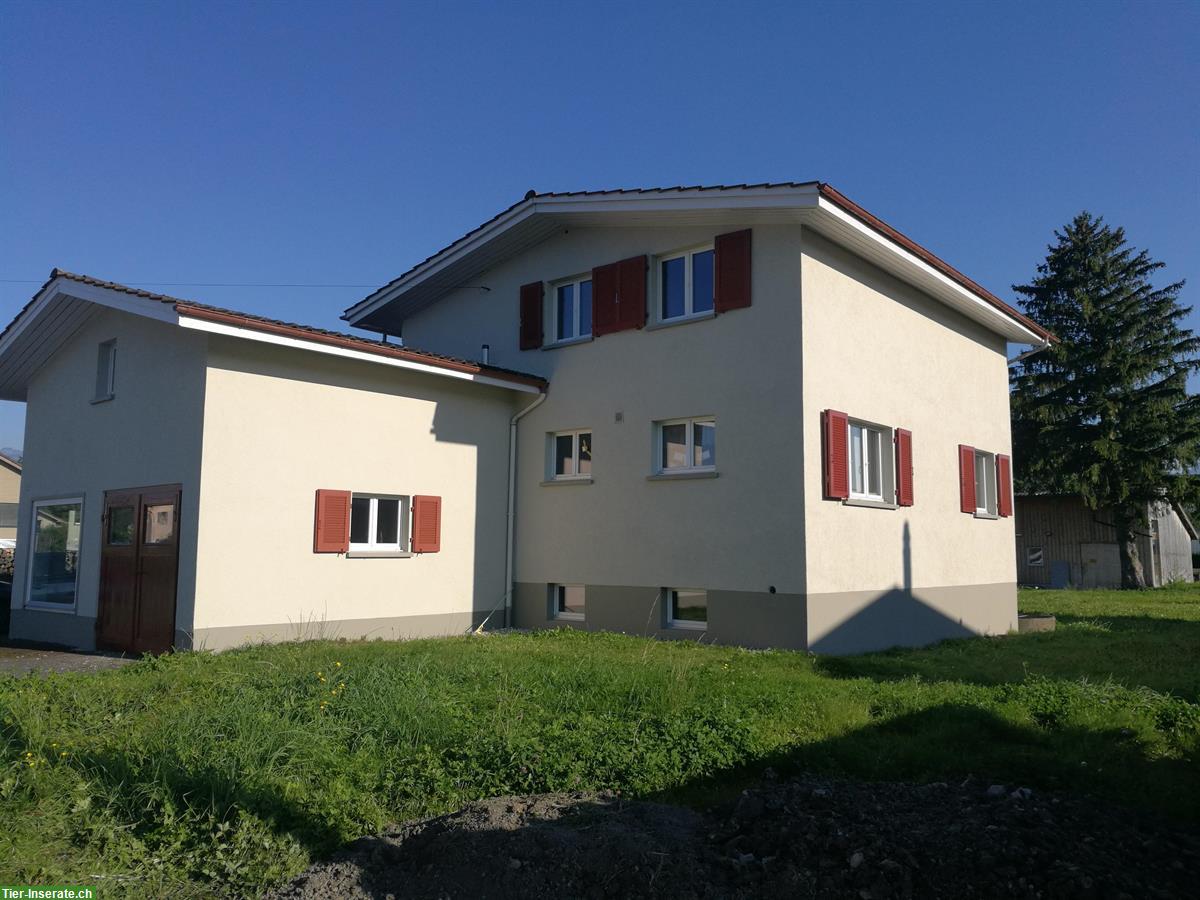Bild 2: Freistehendes EFH mit Stall, Grundstück 3700m2
