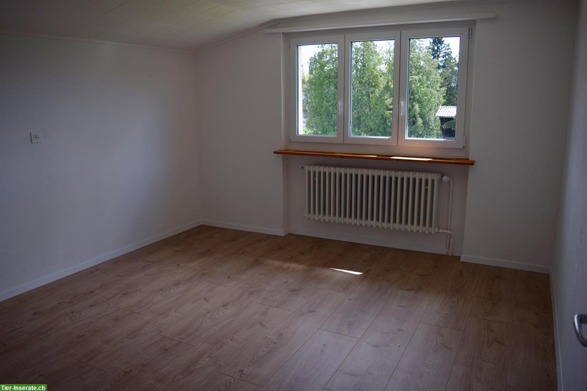 Bild 5: Freistehendes EFH mit Stall, Grundstück 3700m2