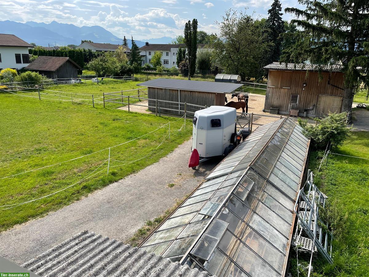 Bild 7: Freistehendes EFH mit Stall, Grundstück 3700m2