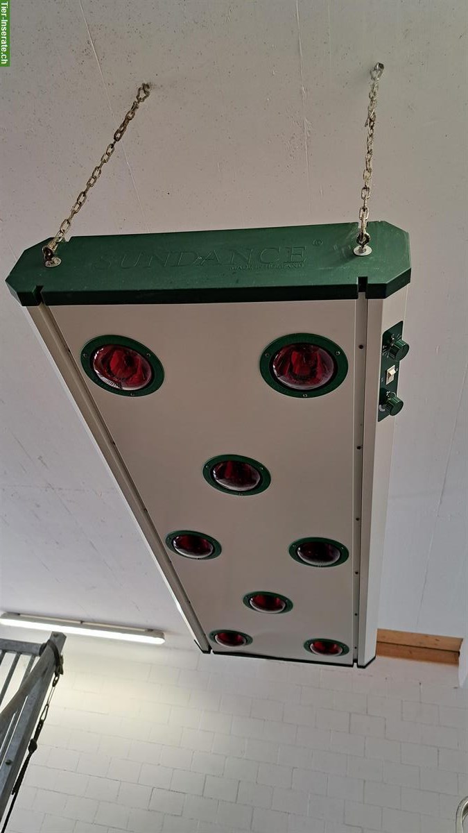 Pferdesolarium SUNDANCE Typ 800