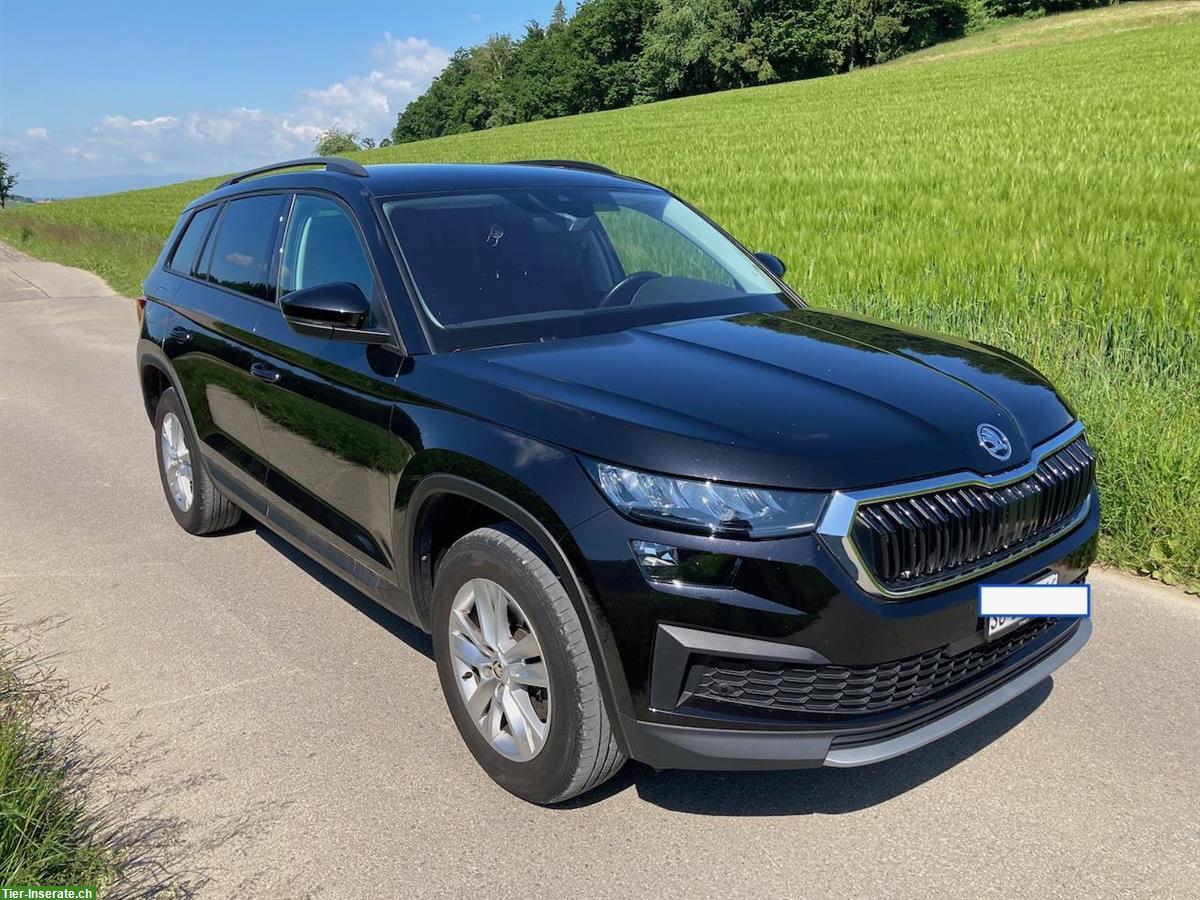 Bild 2: SKODA KODIAQ Ambition TDI SCR 4x4