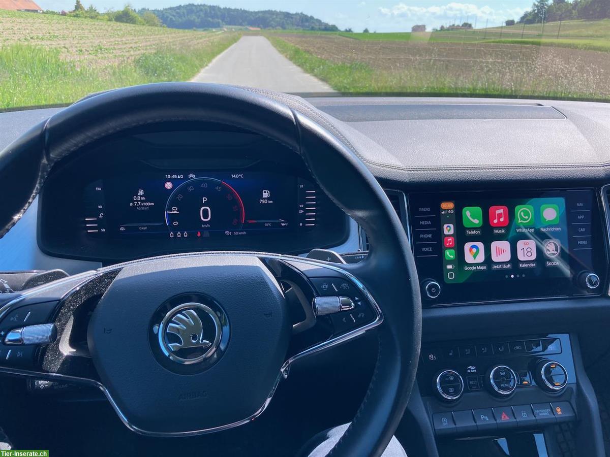 Bild 3: SKODA KODIAQ Ambition TDI SCR 4x4