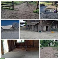 Offenstallplatz mit Paddocktrail für Pony zu vermieten, Neuwilen TG