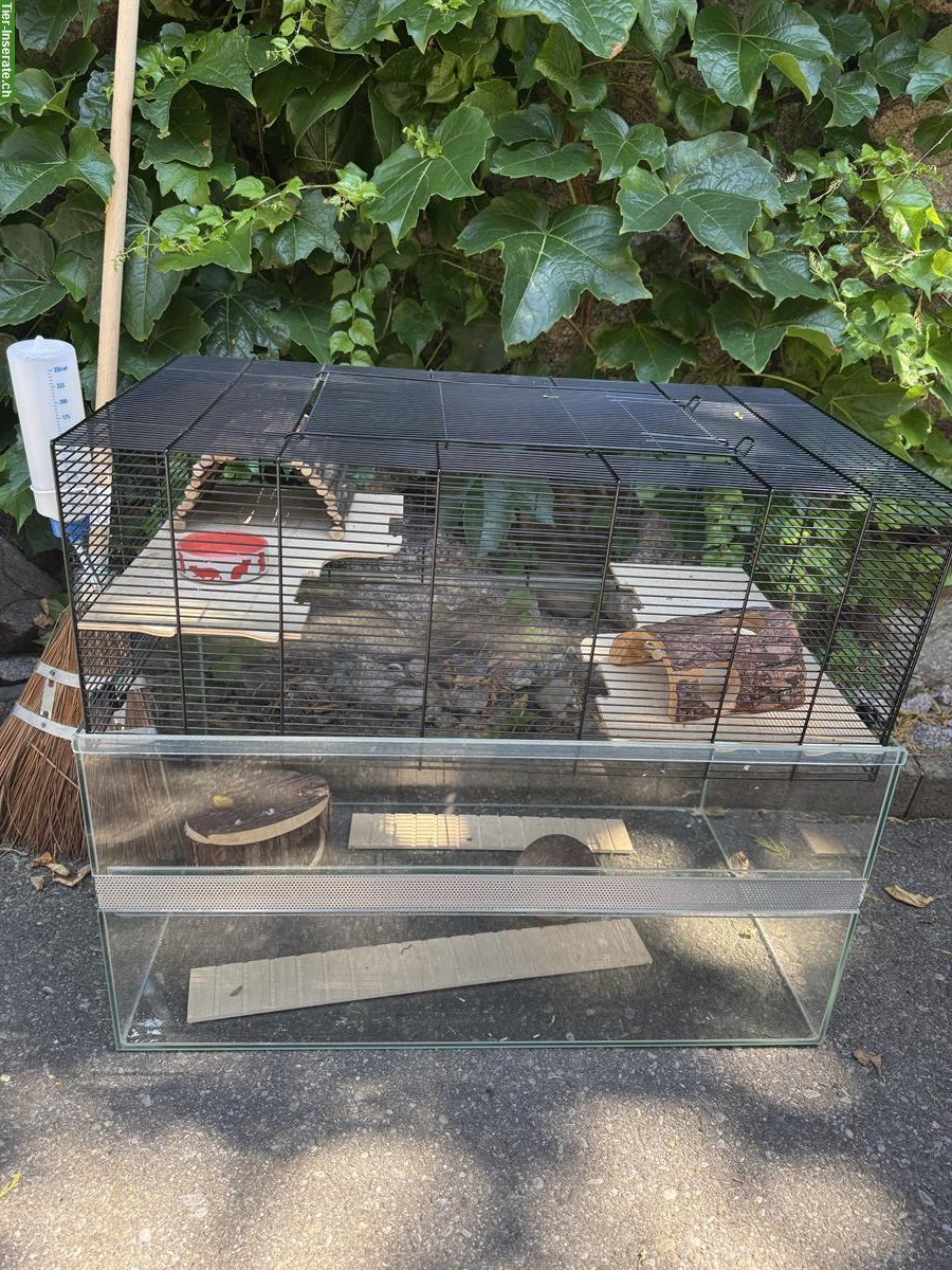 Toller Hamsterkäfig mit Zubehör