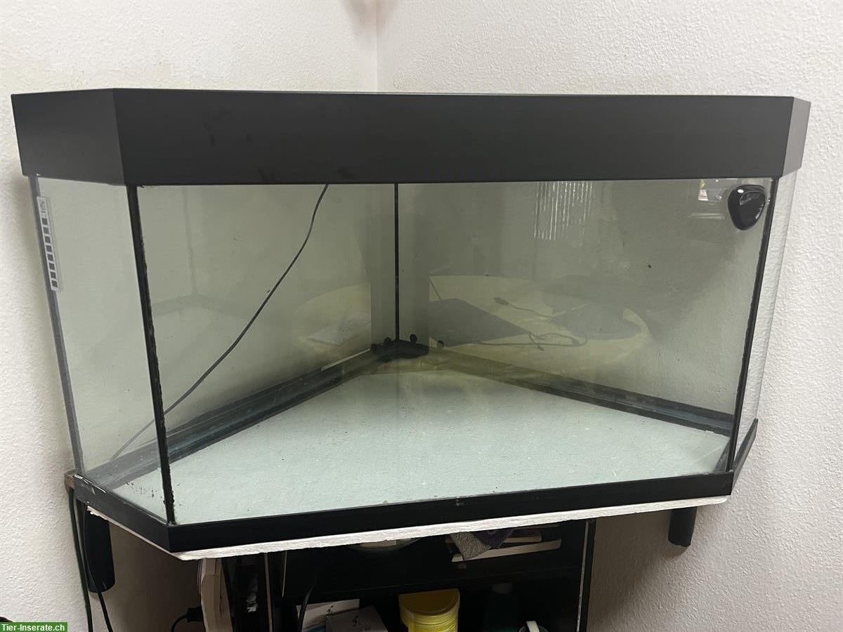 Eck Aquarium 150 Liter mit Filter & Heizstab plus Deko