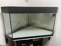Eck Aquarium 150 Liter mit Filter & Heizstab plus Deko