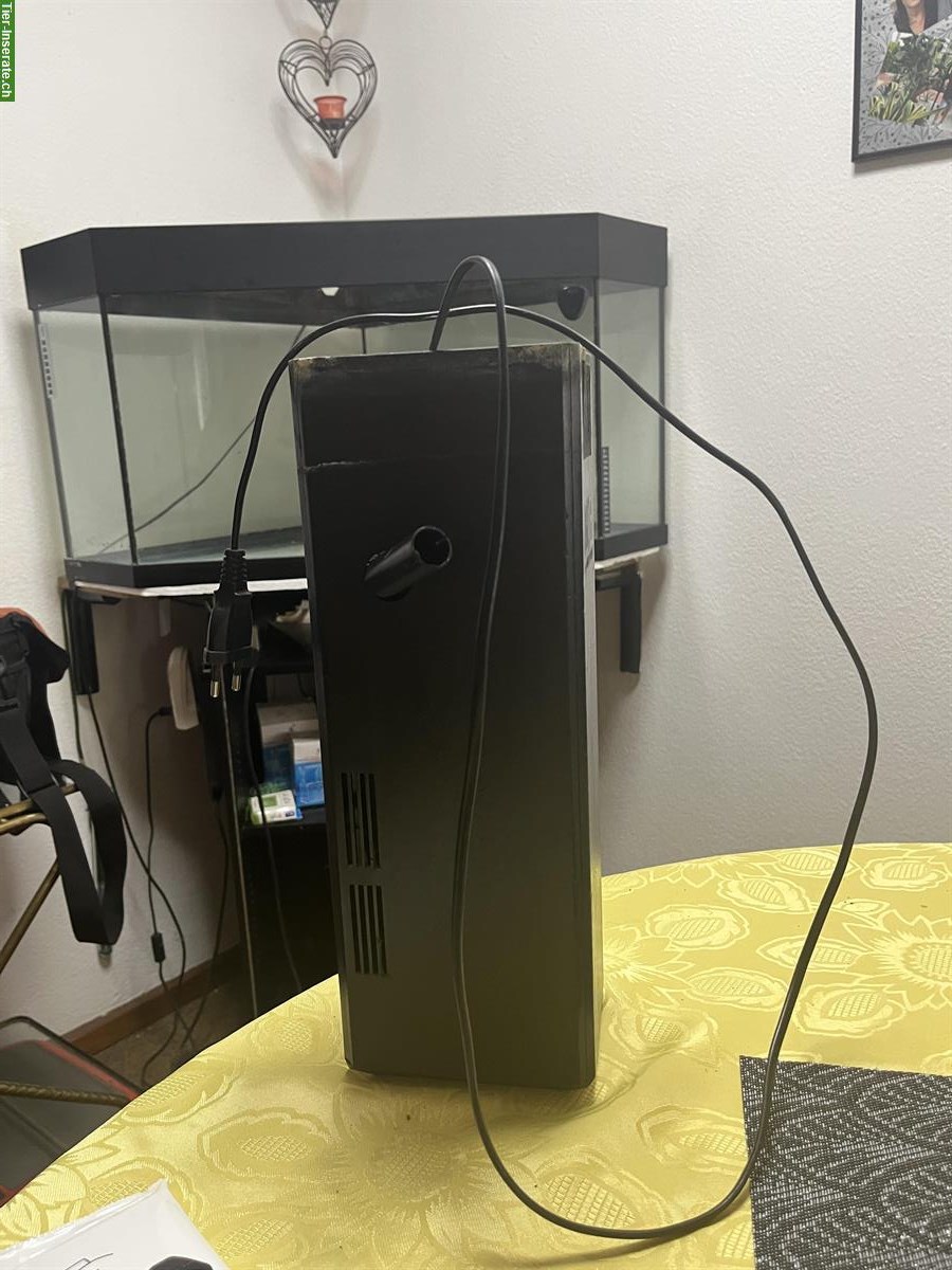 Bild 2: Eck Aquarium 150 Liter mit Filter & Heizstab plus Deko